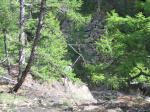 050802-155319-IMG 0410