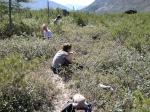 050806-125601-DSCN0100