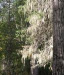 050814-083012-DSCN0197