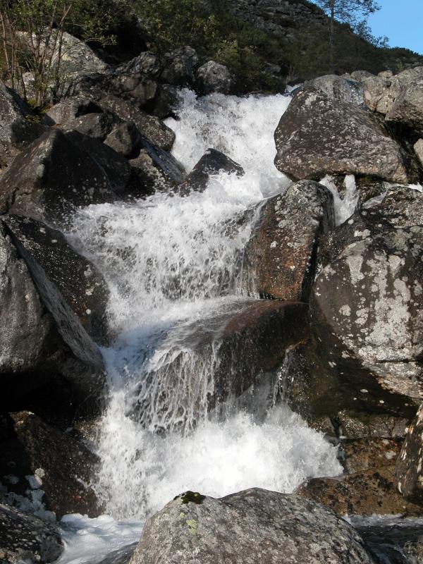 050815-191340-DSCN1039