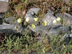 DSCN1747.jpg