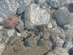 050819-133741-IMG 0644