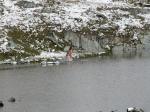 DSCN1828.jpg