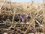 050329-180359-PICT0022
