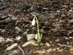 050329-184036-PICT0043