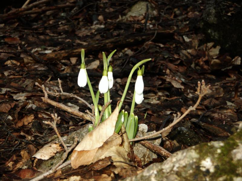 050329-184249-PICT0045