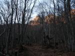 050329-185021-PICT0049
