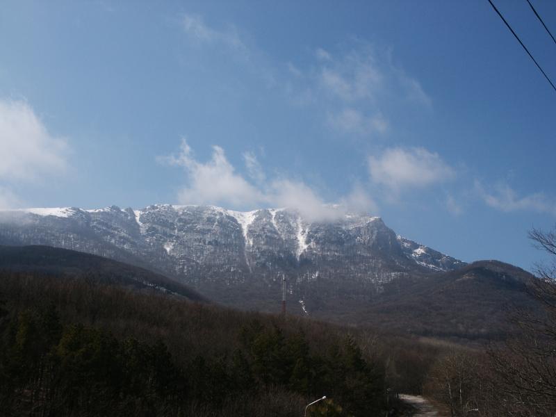 050330-121921-PICT0002