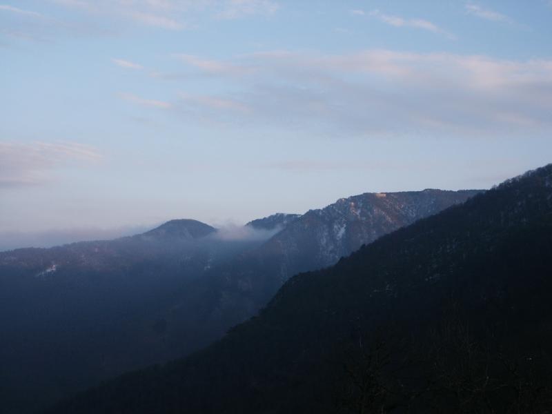 050330-184122-PICT0007