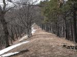 050331-103204-DSCN0025