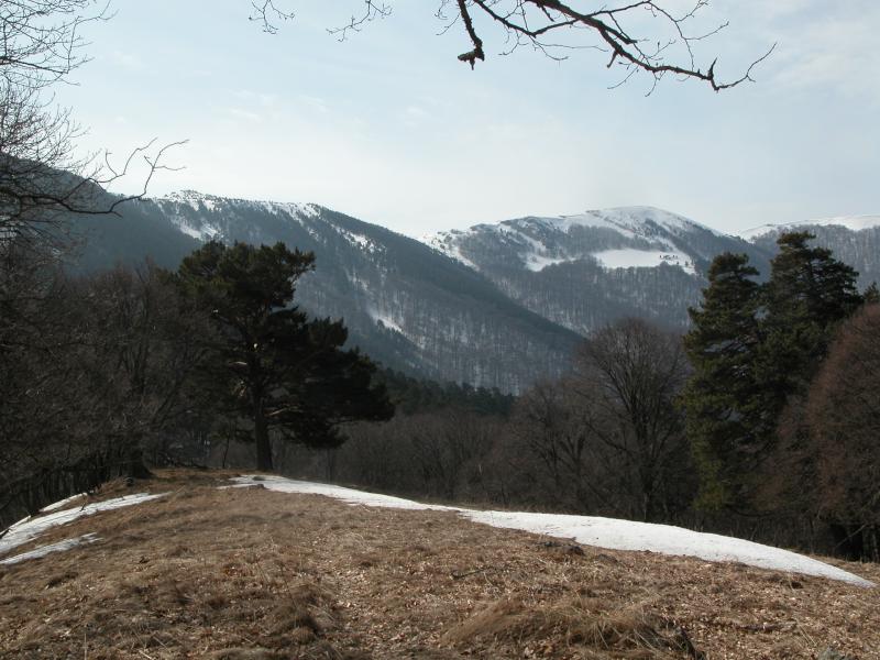 050331-104900-DSCN0028