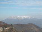 050331-111003-DSCN0031