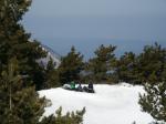 050331-120016-PICT0005