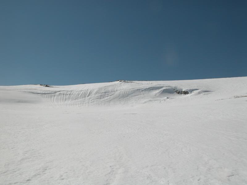 050331-124624-DSCN0039