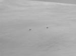 050331-140520-DSCN0048