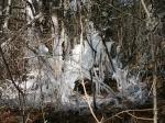 050401-103227-PICT0002