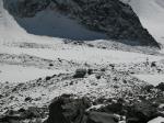 DSCN1887.jpg