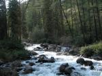 DSCN0115