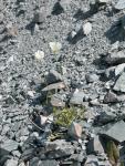 DSCN0377