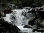 DSCN0516