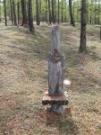 DSCN1256.jpg