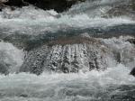 DSCN1351.jpg