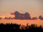 DSCN0789.jpg