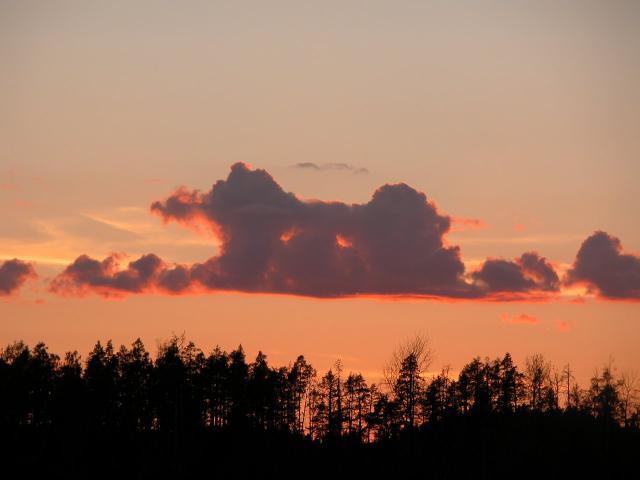 DSCN0789.jpg