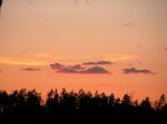 DSCN0799.jpg