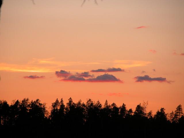 DSCN0799.jpg