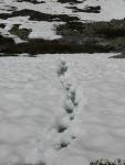 DSCN1435.jpg