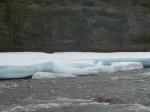 DSCN1496.jpg