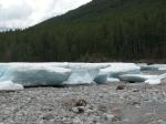 DSCN1512.jpg