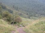 DSCN1611.jpg