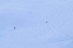 070222181055-PICT8466