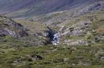 050815-123653-DSCN1009