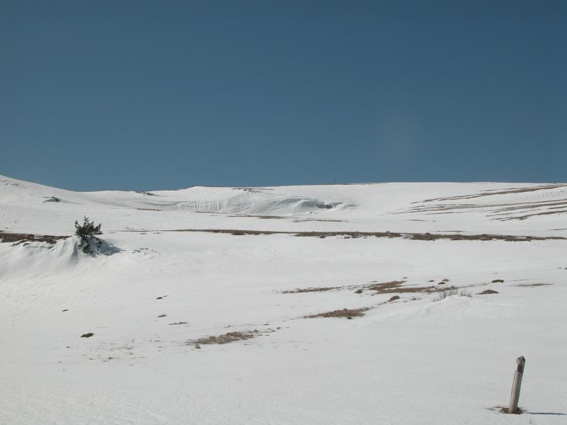 050331-124024-DSCN0038
