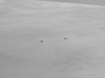 050331-140520-DSCN0048