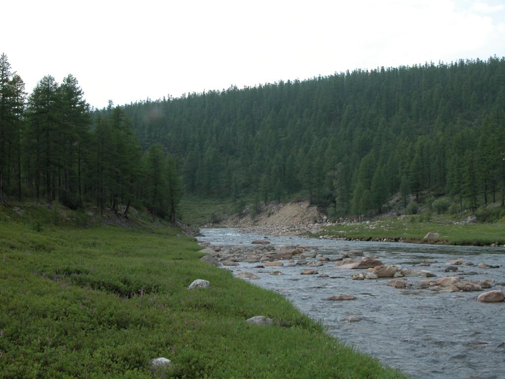 Малая Тора