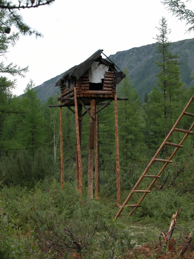 Лабаз в лесу