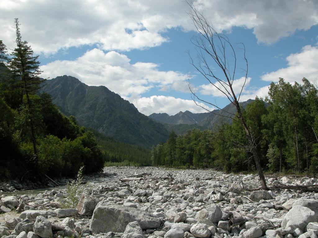 Река Нижний Сакукан